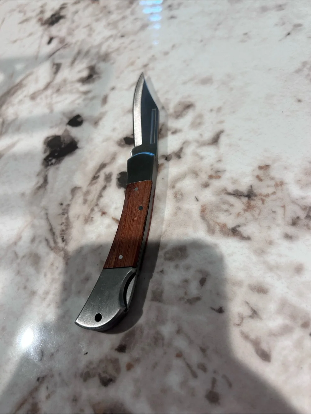 Classic Brown Wood-Handle Folding Buck Knife for Men Grooming